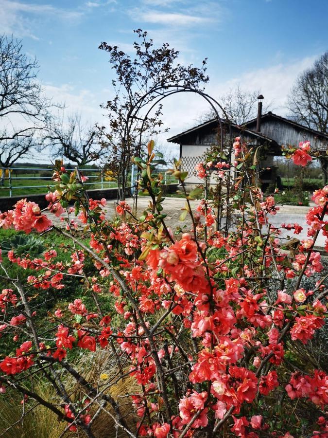مبيت وإفطار Bersaillin Domaine De L'Esperance, Chambre Rose المظهر الخارجي الصورة
